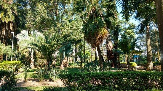 Parque do Piqueri