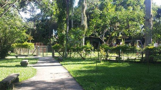 Bosque Da Princesa