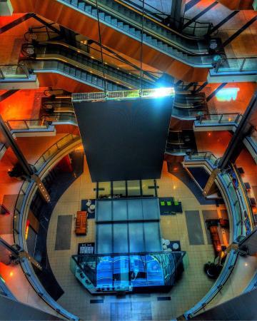 HOYTS Cinema
