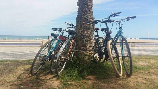 Alicante Rental Bikes