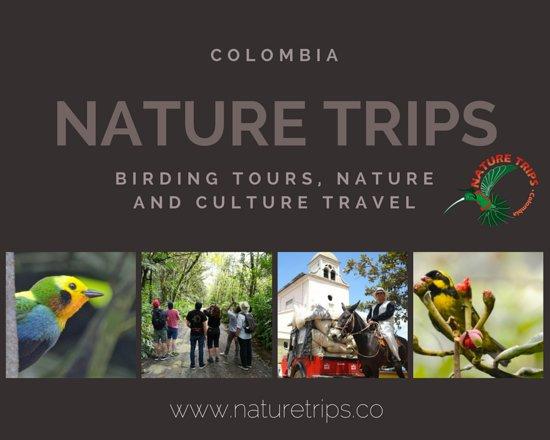 Nature Trips Colombia