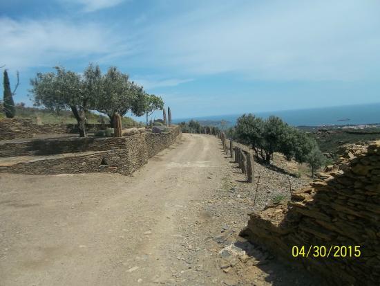 Bicicletas & Rutas