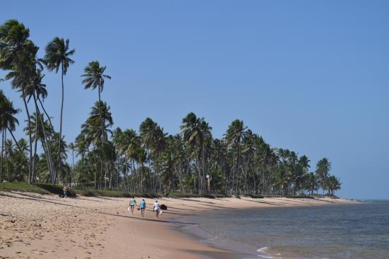 Praia do Lord