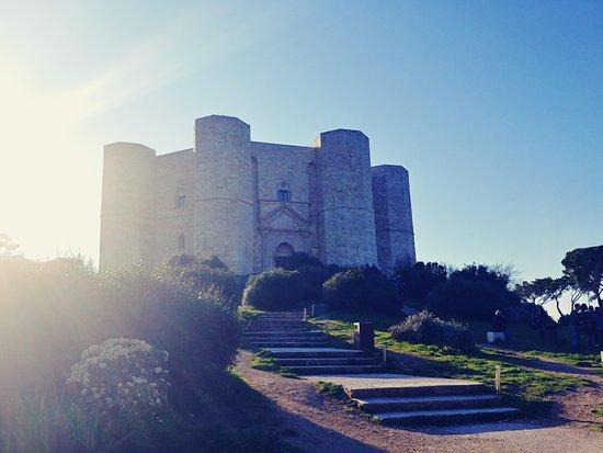 Mauritour