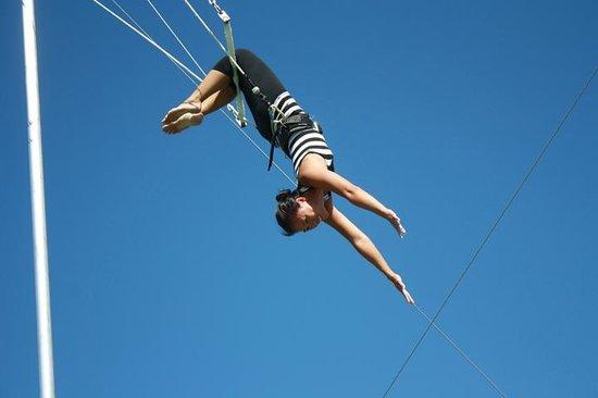 Trapeze Federation