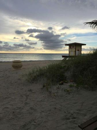 Hollywood Beach Cruises