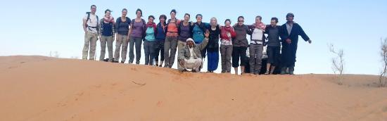 Wander Trace Tours