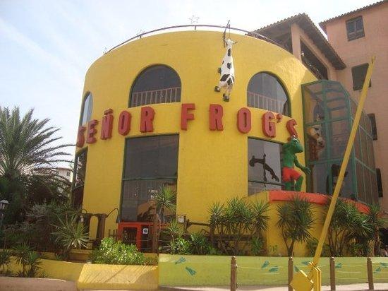 Senor Frogs