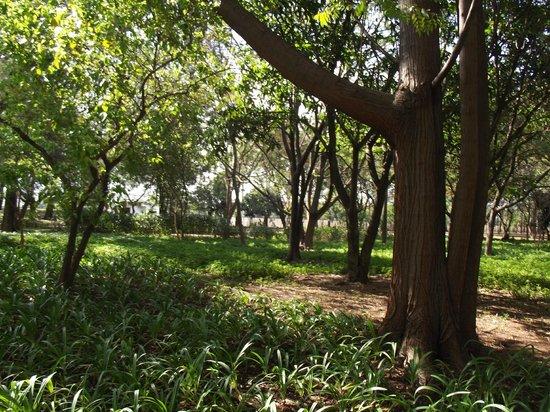 Parque Leopoldina Orlando Villas Boas