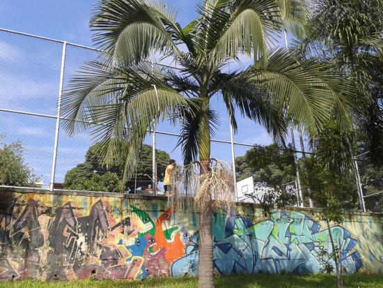 Centro Educacional e Esportivo Alfredo Inacio Trindade