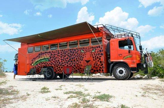 Jaguar Expeditions