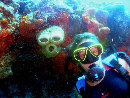 Diving Courses