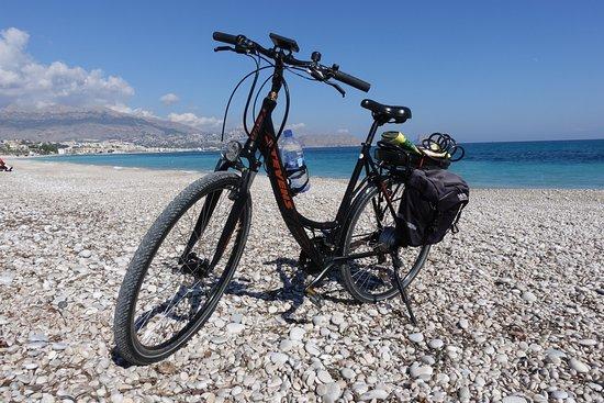 Elite Bikes Albir
