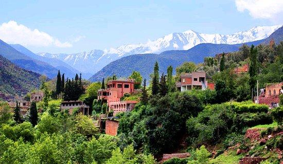 Private Marrakech Day Trips