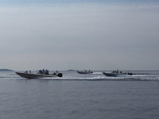Rib Cruises