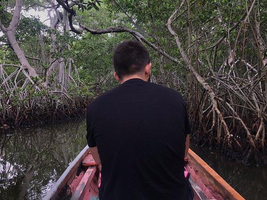 La Cueva del Manglar