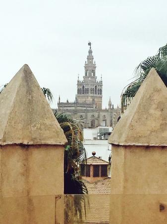 Sun Sails Charter