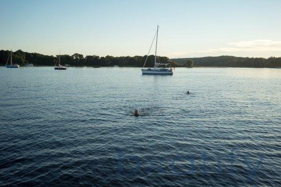 WannseeSchipper
