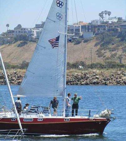 Cruise Invictus
