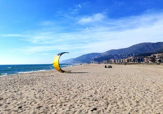 Mojokite