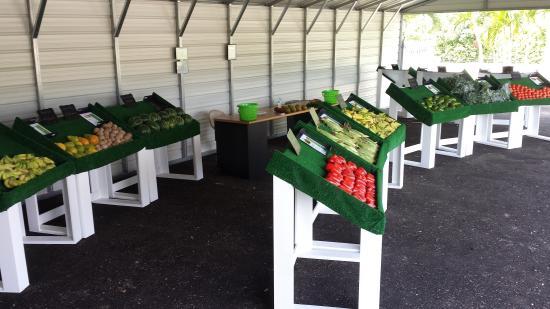 Bernetallo Farms