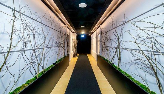 FOREST spa & massage