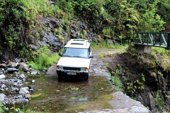 Green Mountain Madeira