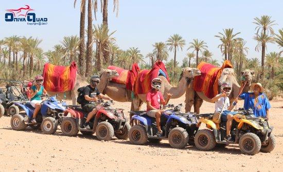 Oniva Quad
