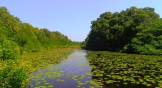 Parque Isla Salamanca