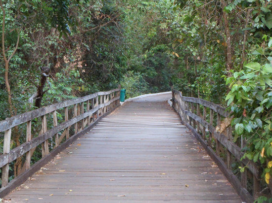 Parque Cesamar