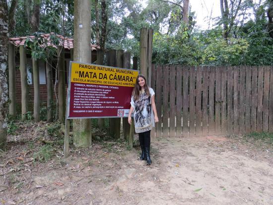 Mata da Câmara