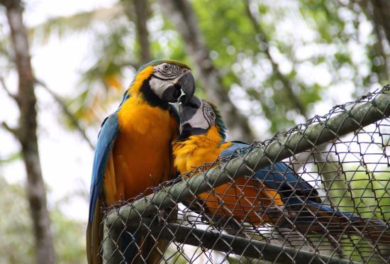 Parque Zoobotânico de Brusque