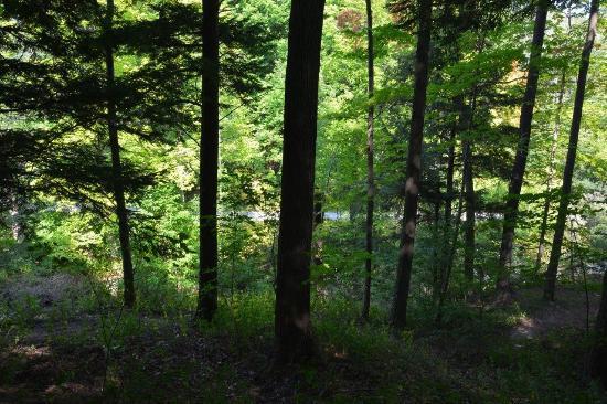 Sunnybrook Park