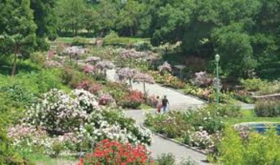 Morcom Amphitheater of Roses