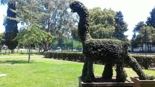 Jardim da Quinta da Alagoa