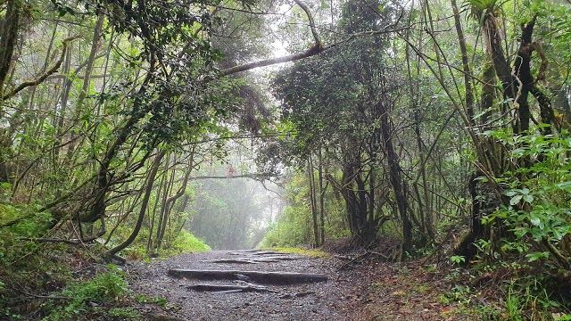 Barva Volcano National Park entrance