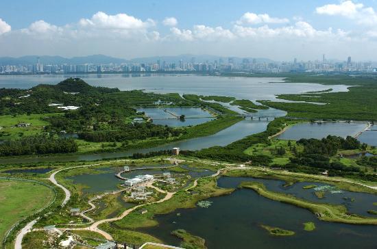 Parque del humedal de Hong Kong
