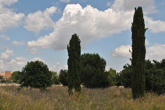 Parque Arqueológico de Centocelle
