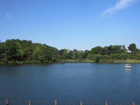 Parque Senzoku-ike