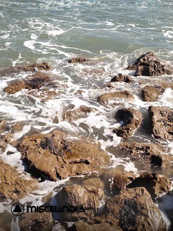 Marina de Oeiras