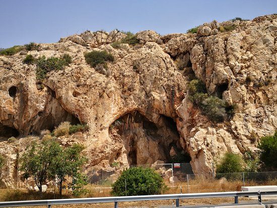 Parque Prehistorico de Malaga