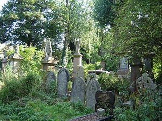 Parque/Cementerio Abney
