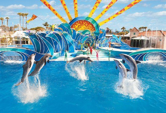 Parque Aquático SeaWorld San Diego