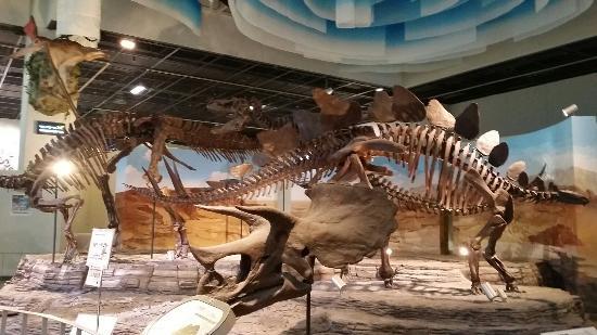 Museu Nacional de Ciências de Gwacheon