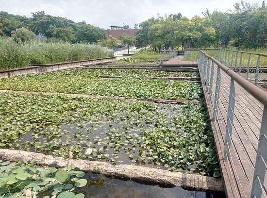 Parque Seonyudo
