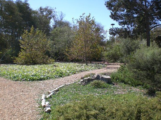 Shipley Nature Center