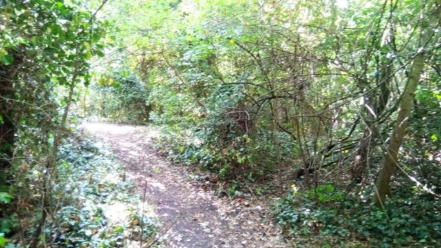 Gillespie Park
