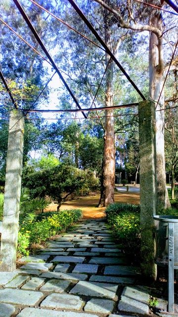 Sao Roque Park