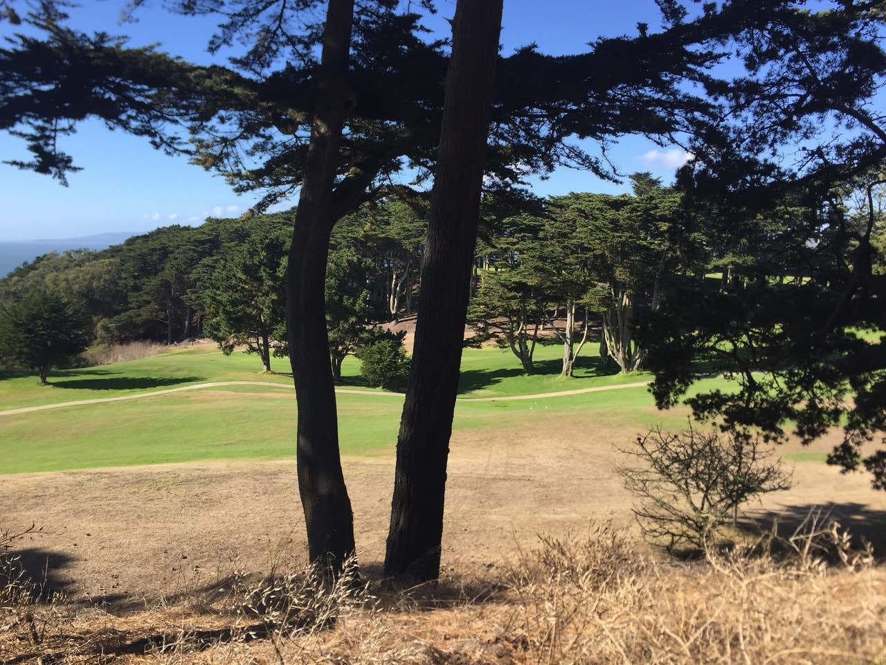 Lincoln Park Golf Course