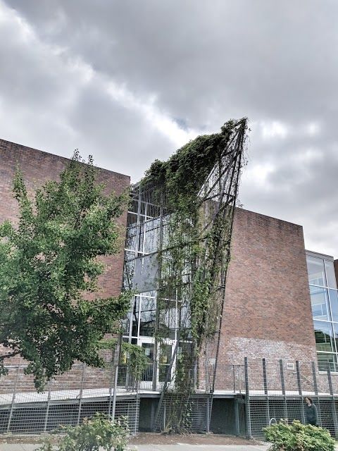 Capitol Hill Branch